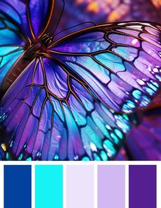 a blue butterfly sitting on top of a purple and yellow color scheme with the words,'butterflies are beautiful colors that can be seen in many different ways