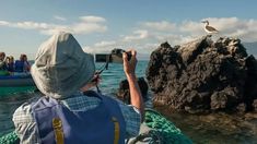 a man is taking a photo of birds on the rocks in the ocean with his camera