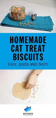 Homemade Cat Biscuits That Are Simple to Make with Just Three IngredientsStart Baking NowAlongside A Well-Balanced DietThis Is The Perfect Treat To Spoil Your Cat. Homemade Cat Treats, Homemade Cat Treats Recipes, Diy Cat Treats, Homemade Biscuit, Homemade Pet Treats, Pet Crafts, Pet Treats Recipes, Homemade Cat Food, Dog Biscuit Recipes