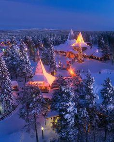 an aerial view of a snow covered forest with lit up tents and trees in the foreground