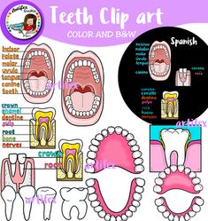 tooth clip art with teeth and braces for kids to use on their own face