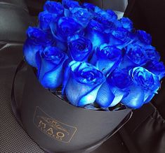 a bunch of blue roses sitting in a black box on the back seat of a car