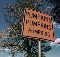 an orange sign that says pumpkins and pumpkins on it in front of a tree