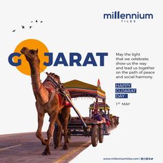 a camel pulling a cart with people on it and the words gj jarat written in arabic