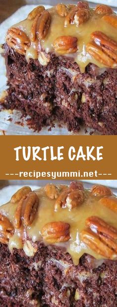 chocolate turtle cake recipe with pecans on top