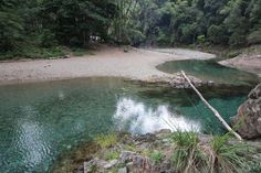 a river with clear blue water surrounded by trees