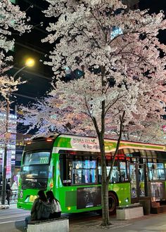 a green bus parked next to a tree with white flowers