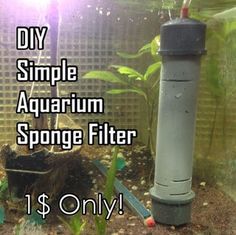 an aquarium filled with water and plants next to the words diy simple aquarium sponge filter