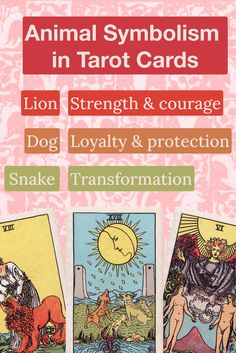 an animal symbol in tarot cards