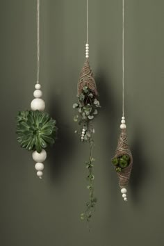 three hanging planters with succulents and plants in them against a green wall