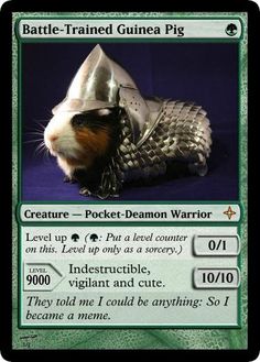 a card with a cat wearing armor on it's face and the caption reads, battle - trained guinea pig