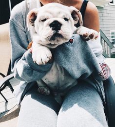 a woman holding a white dog in her lap