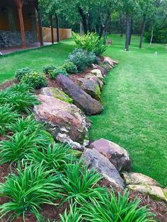 a garden with grass, rocks and plants