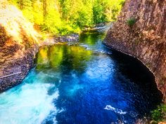 a river flowing through a lush green forest