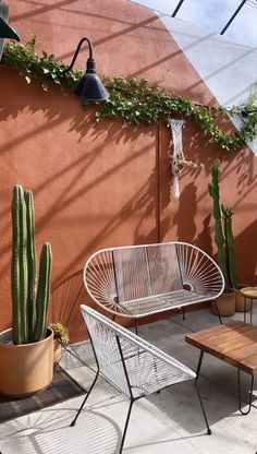 an outdoor seating area with potted cacti and cactus