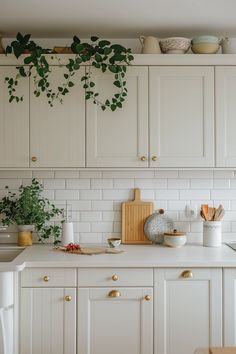 a kitchen with white cabinets and plants growing on the wall above the counter top, along with wooden utensils