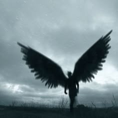 a black and white photo of a person with wings outstretched in front of the sky