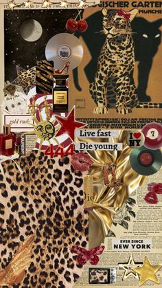 a collage with various pictures and words on it, including an image of a cat