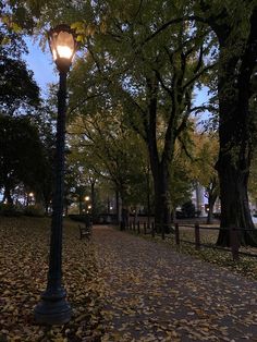 a street light sitting on the side of a leaf covered road