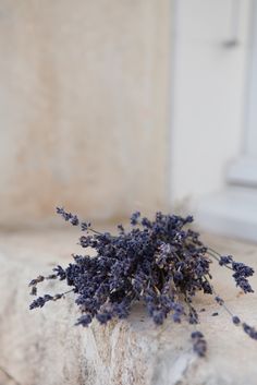 a bunch of purple flowers sitting on top of a stone wall next to a window