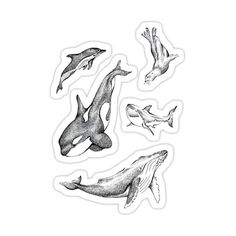 several different types of whales stickers on a white background