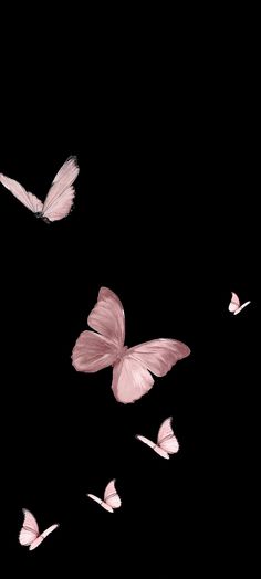 three pink butterflies flying in the dark