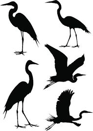 six silhouettes of birds with long legs and large beaks, all standing in different positions