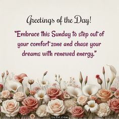 greetings for the day embrace this sunday to step out of your comfort zone and chase your dreams with reward energy