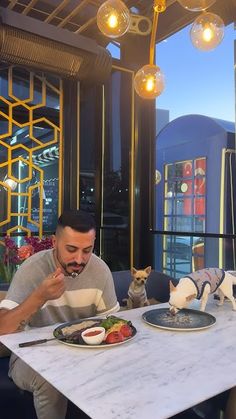 two men sitting at a table with plates of food in front of them and cats on the other side