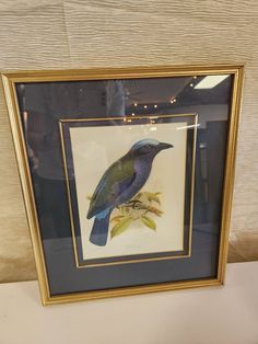 a blue and green bird sitting on top of a wooden table next to a wall