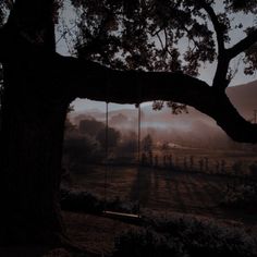 a tree with a swing hanging from it's branches in front of a field