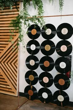 there is a wall made out of old vinyl records with writing on them and plants growing in the background