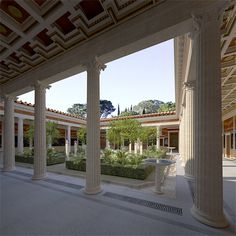 an empty courtyard with columns and plants in the center, surrounded by trees on either side