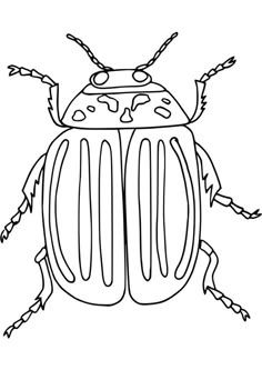 a black and white drawing of a bug