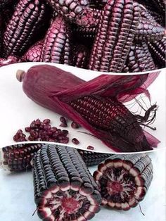 an image of purple corn on the cob