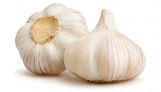 two bulbs of garlic on a white background