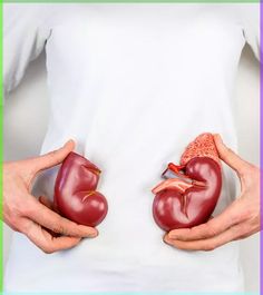 Located on either side of your body, your kidneys work 24x7 to ensure that you can stay in the prime of your health all the time. But if you’re not careful Signs Of Kidney Problems, Kidney Problems Signs, Improve Kidney Function, Vegan Probiotics, Healthy Kidneys, Kidney Diet, Kidney Damage, Kidney Cleanse, Health Screening