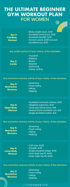 the ultimate beginner gym plan for women info sheet - click to enlarge