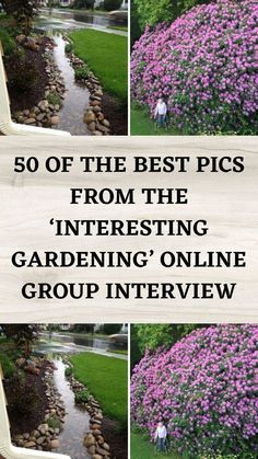 the words 50 of the best pics from the interesting gardening online group interview