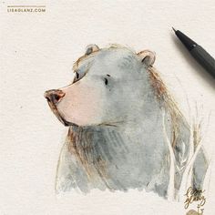 a drawing of a bear with its head turned to the side, next to a pen