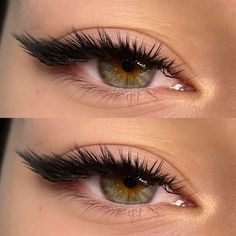 L Lashes, Natural Eyelash Extensions