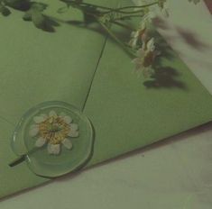 a flower in a glass vase on top of a green envelope with the lid open