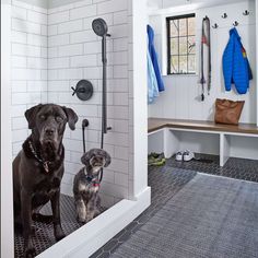 two dogs are sitting in the shower with their leashes hanging on the wall behind them