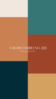 the color combo no 223 is an orange, brown and green palette with white lettering