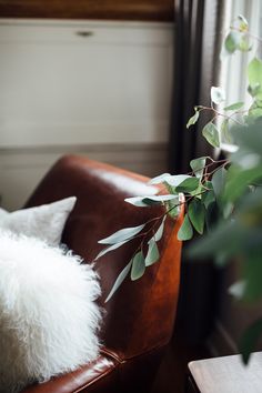 a white pillow sitting on top of a brown leather chair next to a potted plant