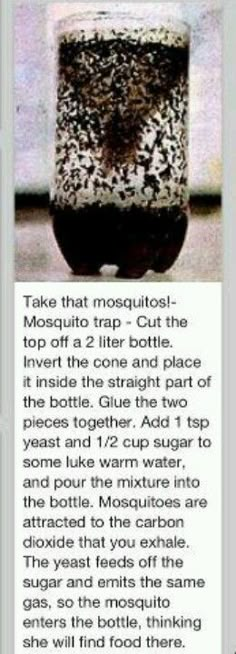 Bug Repellent Diy, Mosquito Catcher, Repellent Diy, Mosquito Repellent Homemade, Diy Mosquito Repellent, Natural Bug Repellent, Diy Pest Control, Mosquito Trap