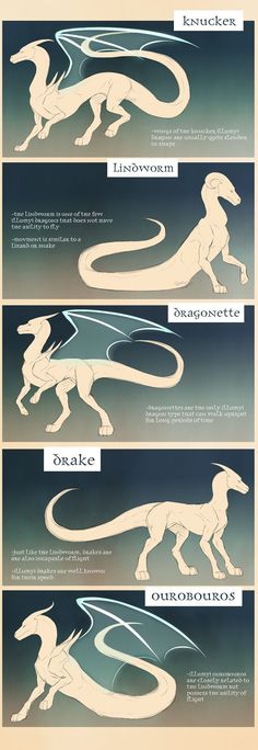 an info sheet showing the different types of aircrafts and their names in each section