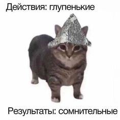 a cat wearing a tinfoil hat on top of it's head with words written in russian