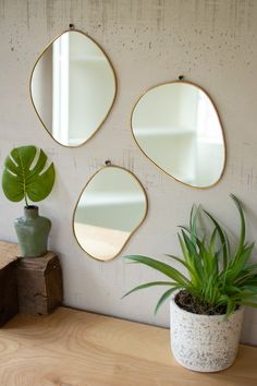 Brass Framed Organic Shaped Mirrors Set Of 3 By Kalalou | Modishstore | Mirrors Funky Mirrors, Mirror Set, Skagen, Mirror Designs, Home Decor Mirrors, Brass Frame, Mirror Wall Decor, Aesthetic Room Decor, My New Room