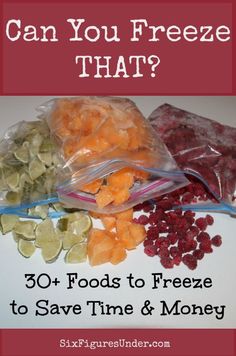 some bags filled with food and the title can you freeze that? 30 + foods to freeze to save time & money